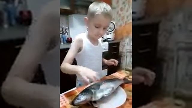 Обзор рыбы Сайда смотреть онлайн