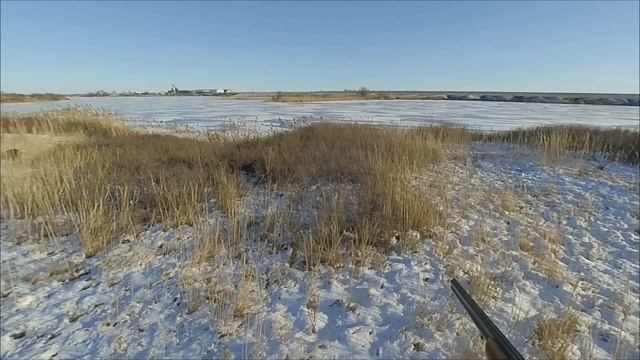 Охота на зайца 2023 смотреть онлайн