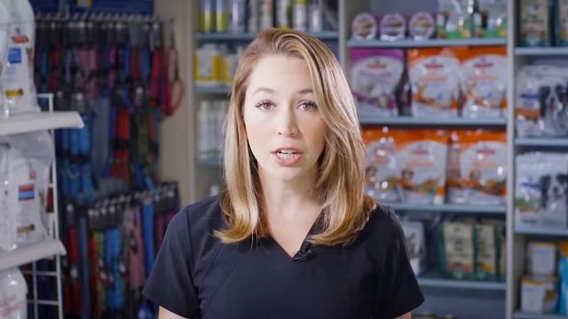Heartland Expert: the importance of your pet's annual exam смотреть онлайн