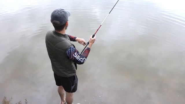 Щуки, окуни Займища. Поймать в Казани на спиннинг судака. смотреть онлайн