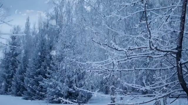 Звуки метели для отдыха и сна смотреть онлайн