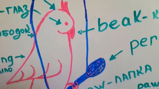 Parrot - попугай, 1 часть смотреть онлайн