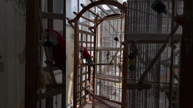 Лучший Отель на Мамая ) хоть и 3 звёзды. #румыния #путешествия #vigerich смотреть онлайн