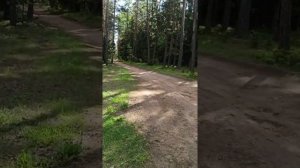 Yamaha ybr 125 ( ёбрик)  Первые впечатления