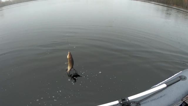 Ловля щуки в начале мая смотреть онлайн