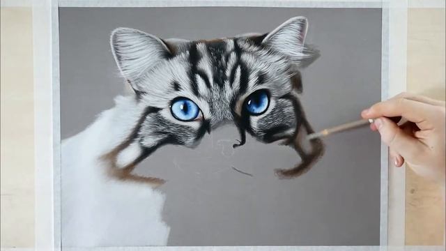 DRAWING REALISTIC CAT ? Color Pastel Pencil Animal Art - Time-Lapse ? смотреть онлайн