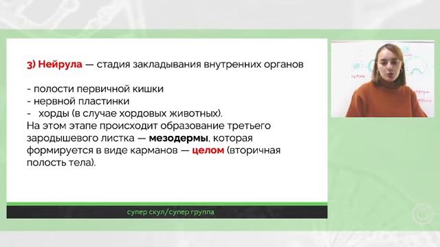 СУПЕР БИОЛОГИЯ - ОНТОГЕНЕЗ - ЕГЭ 2021 смотреть онлайн
