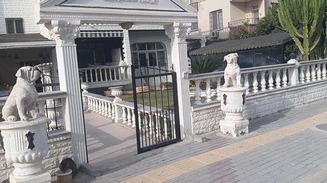 Как я инвестировал в тротуары Тэдже. Мерсин. смотреть онлайн