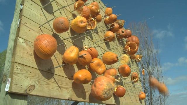 Game Guy does some Pumpkin' Chunkin' смотреть онлайн
