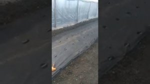 Установка крана на капельную ленту-легко и просто.