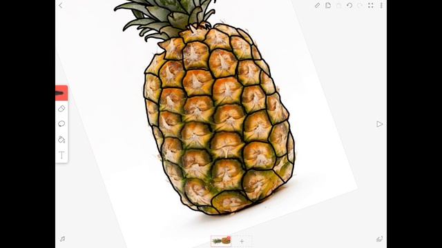 How to Use a Reference Picture | FlipaClip Tutorial (2018) смотреть онлайн
