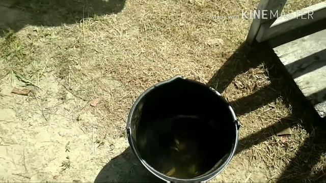 Печь ракета для двух сковородок, отдых, природа смотреть онлайн