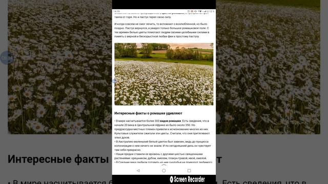 история ромашки 🌼🌼🌼🌼🌼🌼🌼 смотреть онлайн