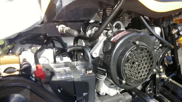 Предварительное Видео Снегоход DINGO T150 по кругу!