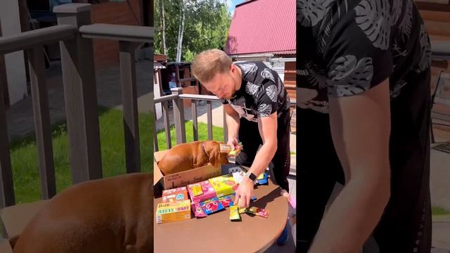 Порадовал малышка и псину? #топ #bite #bitey #семья #жизнь #дети #собаки #лето #вкусно #вкусняшки смотреть онлайн