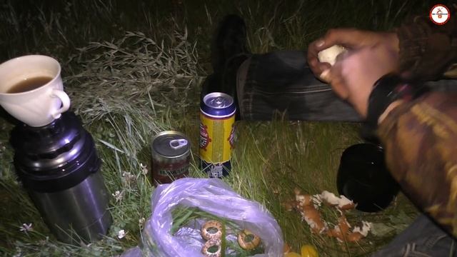 Вот так встреча на копе!!!коп в Башкирии. смотреть онлайн