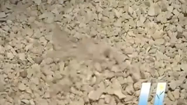 Фильтры для очистки воды Наш Арго смотреть онлайн