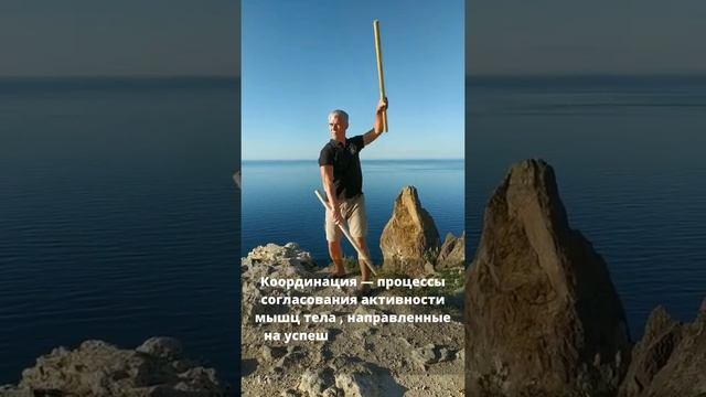 Упражнения на координацию #биомеханика #осанка