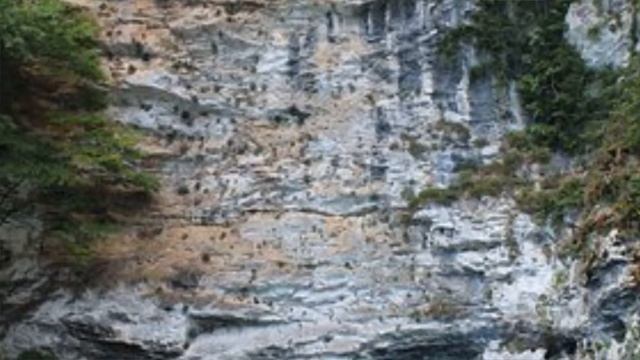 Медитация ПРОСВЕТЛЕНИЯ. Статья смотреть онлайн