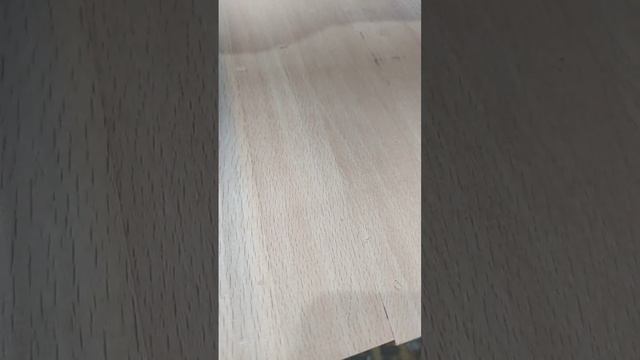 Бук крепкое красивое дерево смотреть онлайн