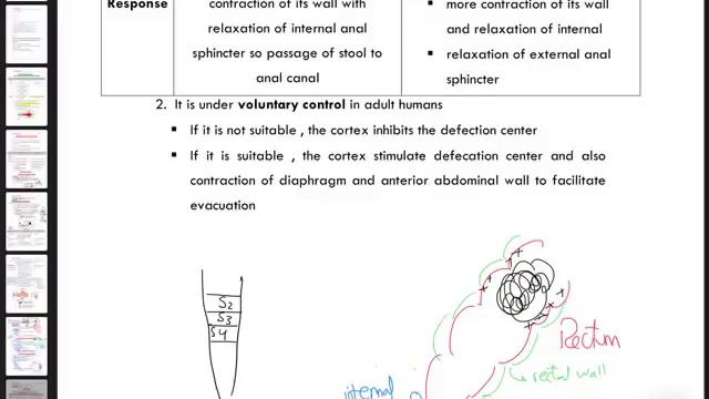 GIT 9 - large intestine смотреть онлайн