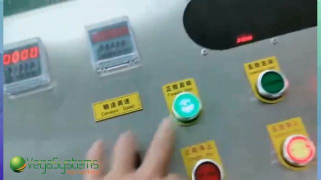 машина для мойки и полировки корнеплодов Vega STH 800/1200/1800 смотреть онлайн