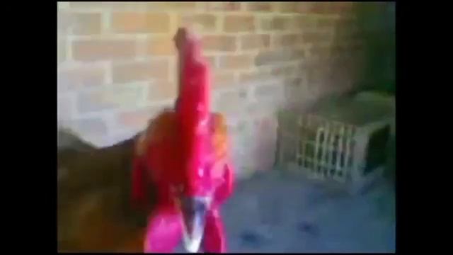 ЧУДЕСА АЛЛАХА смотреть онлайн