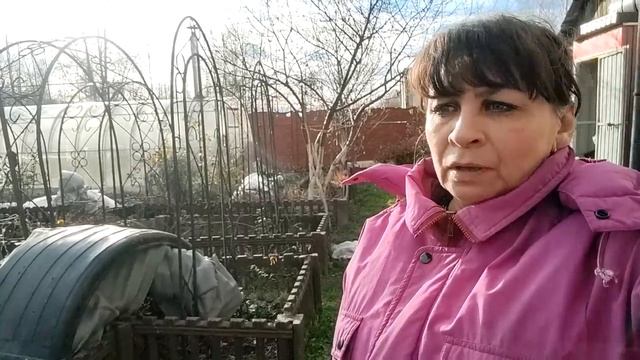 Как все уберечь? Подготавливаю теплицу к зиме. Укрываю цветы. Жизнь семьи в деревне. смотреть онлайн