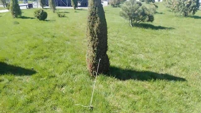 Парк ЖК Комсомольского смотреть онлайн