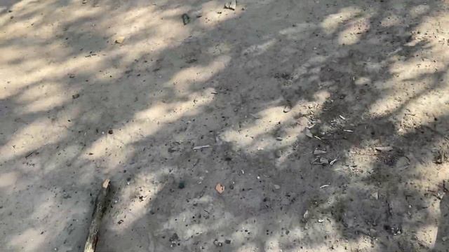 Vanquish 340 и X-Terra 505, тестик на глубину