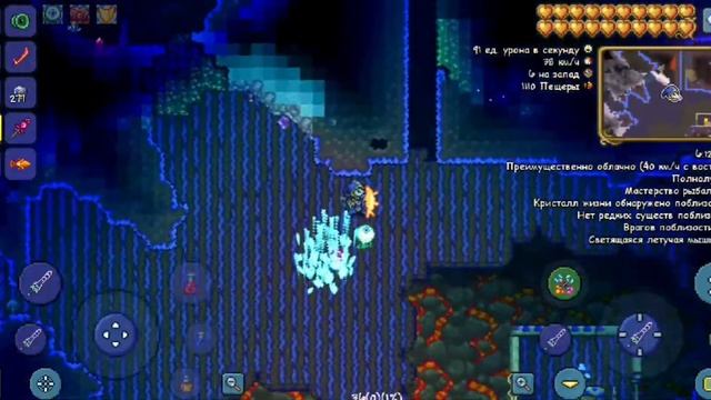 КАК ЗАСЕЛИТЬ ТРЮФЕЛЯ [Terraria]? [1.4] [NPC] Террария Трюфель [Гайд] смотреть онлайн