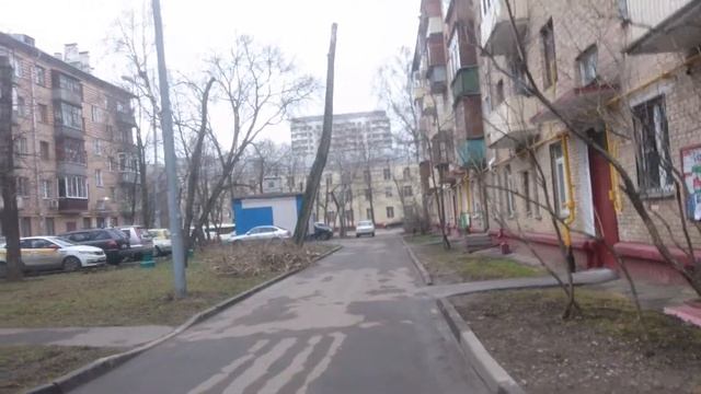 5.03.2020 Кронирование ул Менжинского 11 смотреть онлайн