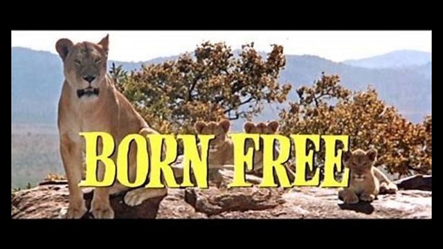 Born Free Movie Song Cover смотреть онлайн