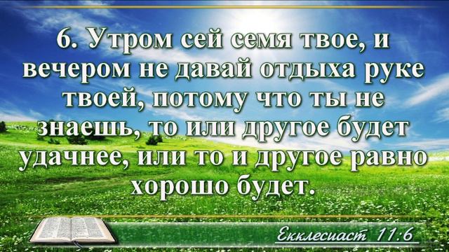 ВидеоБиблия Книга Екклесиаста с музыкой глава 11 читаем и слушаем смотреть онлайн