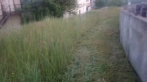 Stihl fs-450 и его возможности.