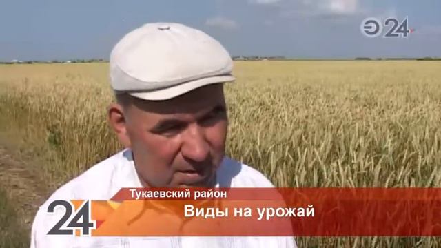 В Тукаевском районе из-за засухи опасаются за качество урожая смотреть онлайн
