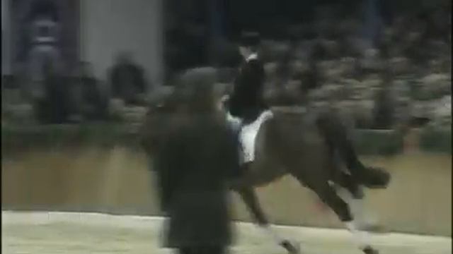 L'Espoir - Elite Stallions смотреть онлайн