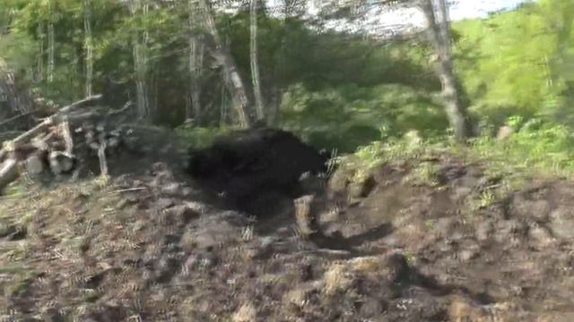 Подготовка  Южного  пруда к работе бульдозера. Потеряевка.  2016.