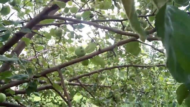 Стройка Успеха