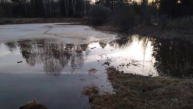 Интереснейшие кадры | Старое русло реки Клязьма этой зимой смотреть онлайн