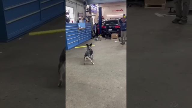 2521874565850.mp4 смотреть онлайн