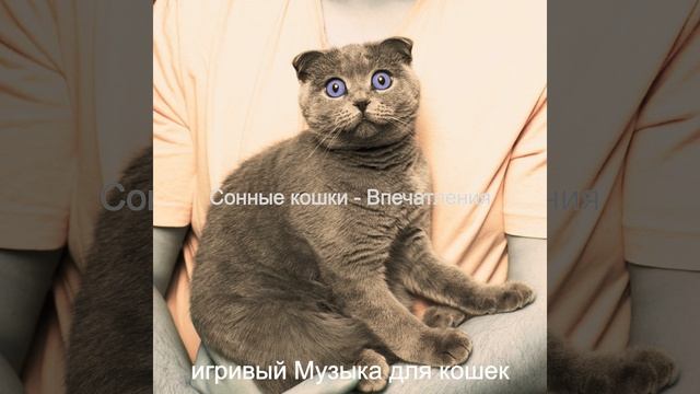 Музыка (Моменты) смотреть онлайн