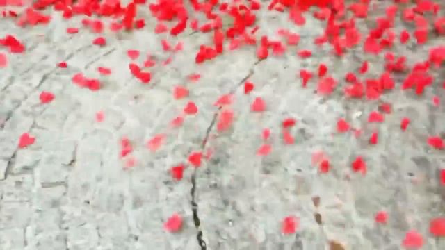 Шнитке.Вальс Прщание. смотреть онлайн