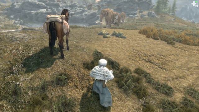 Skyrim Build: THE SHAMAN - A Very Sneaky Old Wizard смотреть онлайн