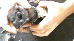 4WD CHECK - Ошибка полного привода. Простой ремонт мотора сервопривода