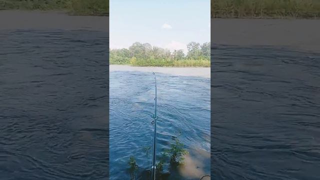 рыбалка Река Терек смотреть онлайн