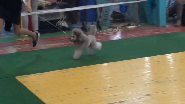 Иркутск Моно 10.07.2016 СЕРЕБРЯНЫЙ ВЕК СТАТУЭТКА