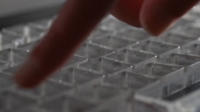 Flux Keyboard - The Keyboard Reinvented смотреть онлайн
