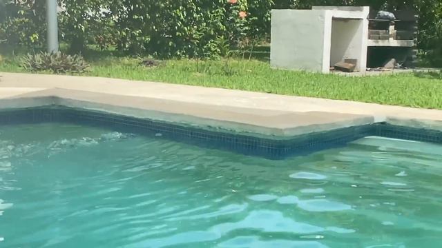 Uno de los mejores dias que hemos pasado en El Salvador 😎 Villa Aracely | Los Cobanos | Ucraniana смотреть онлайн