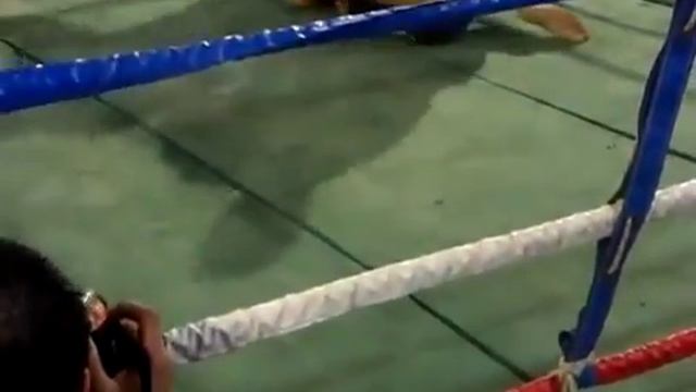 MMA смотреть онлайн